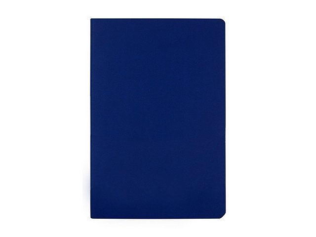 Бизнес тетрадь А5 "Megapolis flex" 60 л. soft touch клетка, синий
