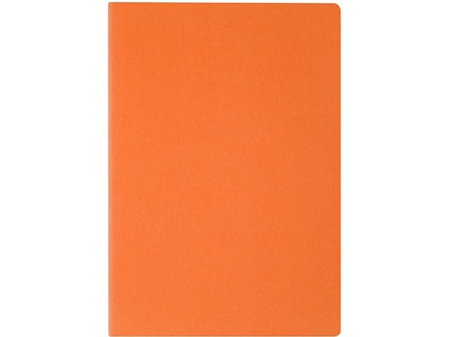 Бизнес-тетрадь А4 "Pragmatic",  40л., клетка, оранжевый