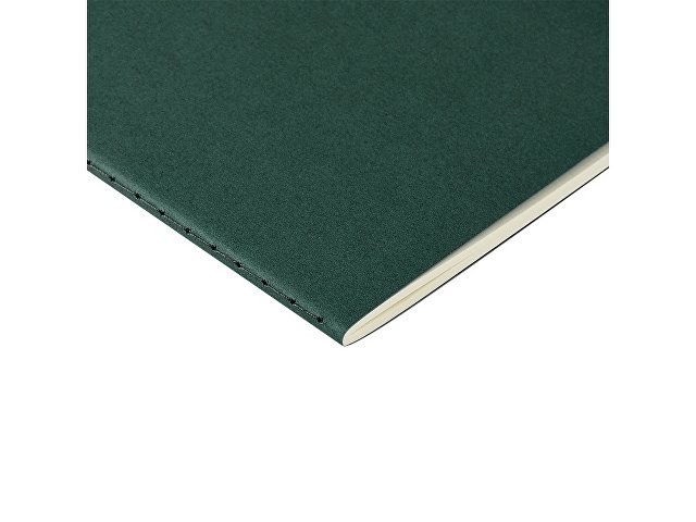 Бизнес-тетрадь А4 "Pragmatic",  40л., клетка, зеленый