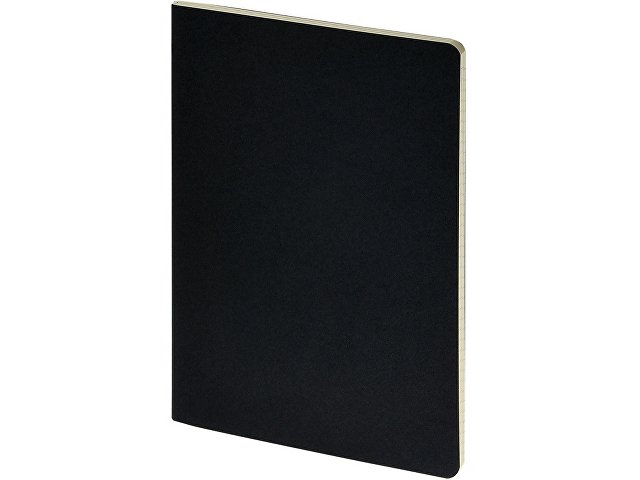 Бизнес-тетрадь А4 "Pragmatic",  40л., клетка, черный