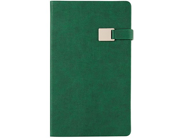 Ежедневник недатированный А5 "Premier", зеленый