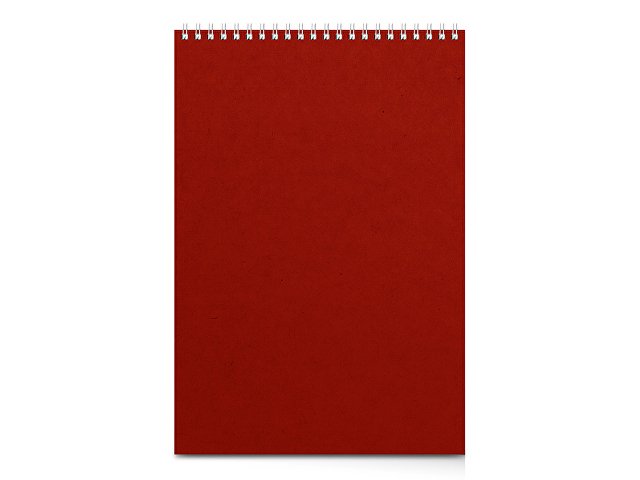 Бизнес - блокнот А4 (198 х 285 мм) "Office" 60 л., красный