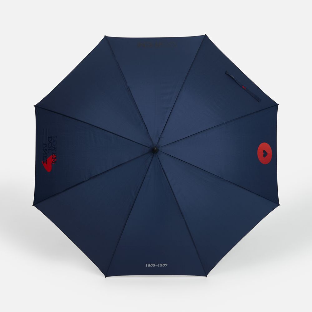 Зонт-трость Rainzee, темно-синий