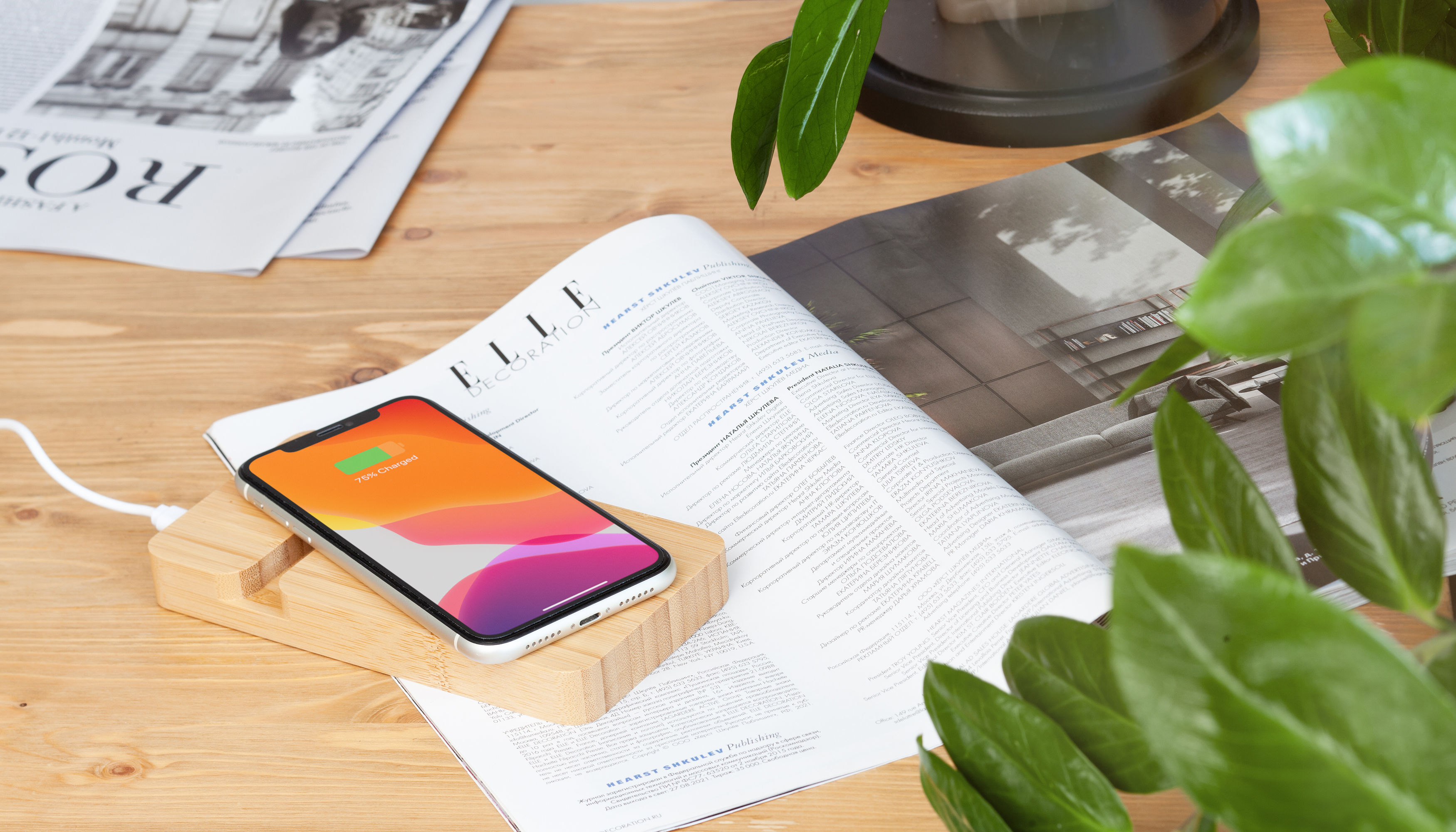 Беспроводное (10W) зарядное устройство "Bamboo Power" 5000 mAh с подставкой под смартфон, бамбук, бежевый